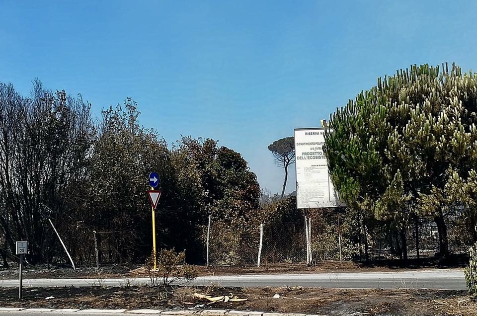 Le prime immagini del dopo incendio che ha devastato la pineta di Castelfusano a Ostia